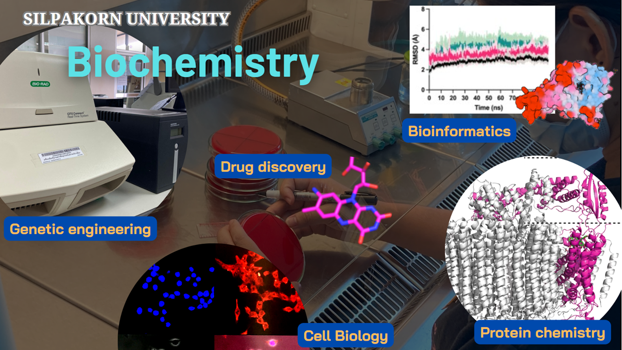 งานวิจัยด้านชีวเคมี (Biochemistry) – ภาควิชาเคมี คณะวิทยาศาสตร์ ...